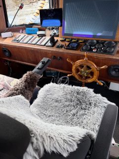 I den här stolen på ett fårskinn har jag suttit i 507 timmar från att vi köpte Baljan i juli 2024. På dom timmarna har man hunnit känna tacksamhet till att vi har en sån funktionell och bra båt. Andra känslor har varit en del irritation över att man ständigt slår i knäna i klädhängaren (ratten) när det ska vändas runt i trånga utrymmen det är 7 varv från max roder åt vart håll, andra irriterande saker har varit störningar i navigationen som det främst rapporterats om på östkusten men vi har en hel del strul här också främst att positionen fryser och inte hänger med så exakt som jag är van vid och det är trångt mellan stenarna hos oss speciellt när mörkret kommer och instrumenten är det vi främst kör på. Därför har Baljan uppdaterats med en Glonass (det ryska satellit systemet🙄) GNSS (det amerikanska) gps mottagare som opererar med både satellit, landbaserade beacons och det vanliga Grid nätet. När uppdateringar endå stod vid dörren monterades även en joystick för att det ska bli bekvämt och bra för mig att slippa vrida på ratten så nu räcker det med att flytta fingrarna några centimeter mellan fulla roderutslag. Vilket lyft för kommande timmar på fårskinnsfällen och lite mer sinnesro när vi kör mellan stenarna i lågvattnet.
/A