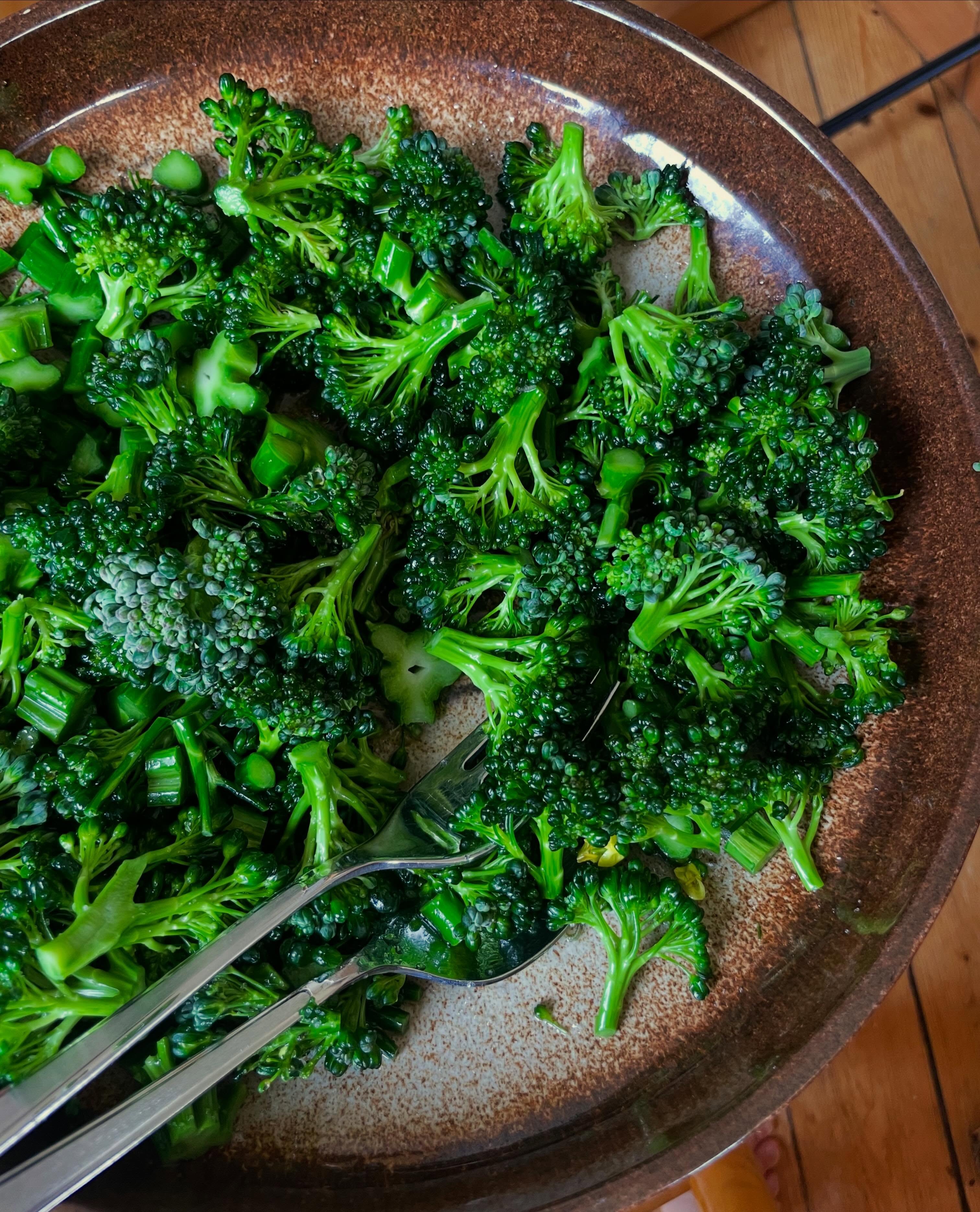 Orimligt pepp på livets första egenodlade broccoli 🥦 

Om jag bara hade fått äta en sak resten av livet så hade det kunnat bli broccoli… vad hade du valt?

Som vanligt var det flera av plantorna som täcktes alldeles för sent med nät för att jag inte hittade en lösning jag tyckte var tillräckligt bra men några av broccolisarna verkar ha klarat sig fint ändå 😊

/J