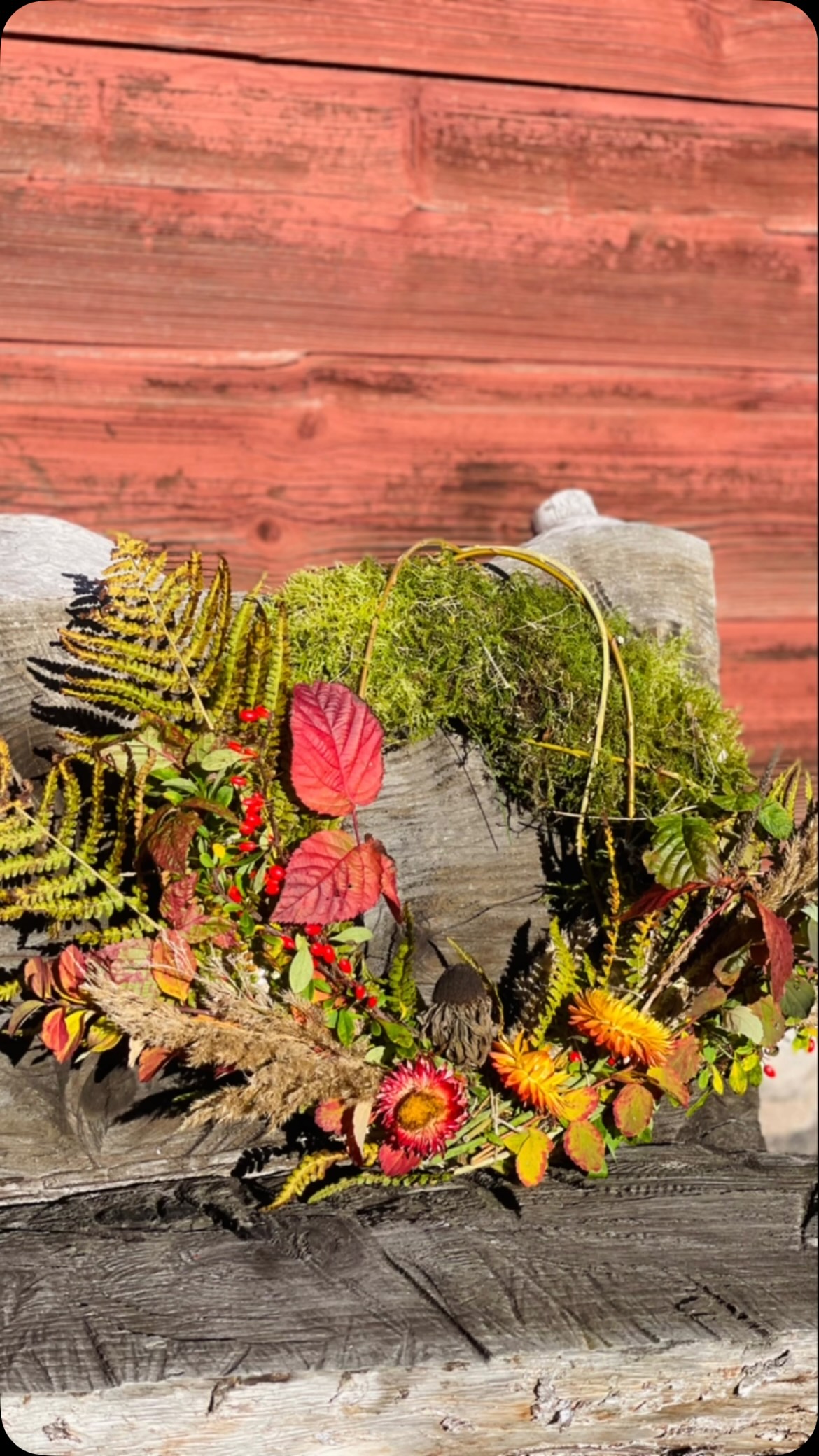 Höst 🍂 

Någon form av grönt på dörren brukar det bli runt jul men nu kände jag att det var dags för livets första höstkransar! Och det var ju inte tråkigt direkt. Gick ett varv runt huset och kollade vad jag kunde hitta för fint medan barnen lekte spioner 😅 

Nackdelen med pardörrar är ju att man behöver göra en till likadan krans efter att man är färdig med den första… eller? Nästa gång kanske jag får testa göra två olika 😊

Halmstommarna är från @trabiten_interior_loftet (ingen reklam, bara nöjd för de var riktigt prisvärda 👍🏻). Jag kan vara sjukt snålt med sånt där som ”det kan jag göra själv”. Men ska man bli bättre på att värdera sin tid så var det absolut värt att köpa ett par halmstommar 😊

/J