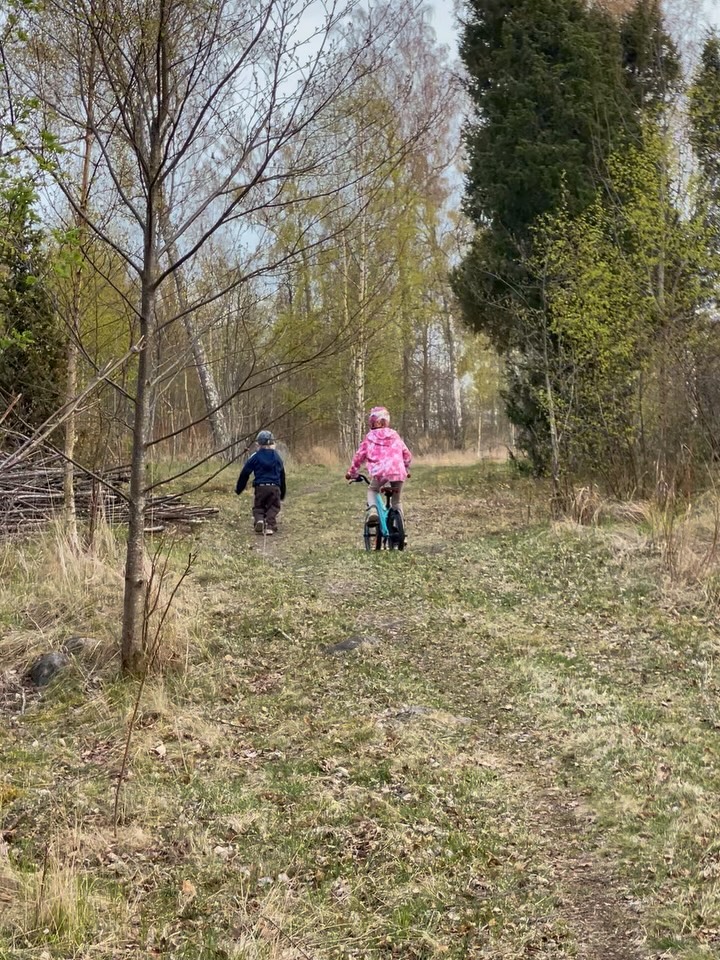 En kväll i april. 

Lurade ut barnen på promenad genom att leta efter spår efter bävern. Och det hittade vi - både gamla och nya spår. Helt klart en bonus när vi även hittade självaste bävern 🦫 och inte en, utan 3. 

Sen mötte vi upp pappan nere på vår brygga som guidat friluftsfrämjandet på en paddeltur runt Storön och hjälpte han äta upp resten av färdkosten 😊

/J