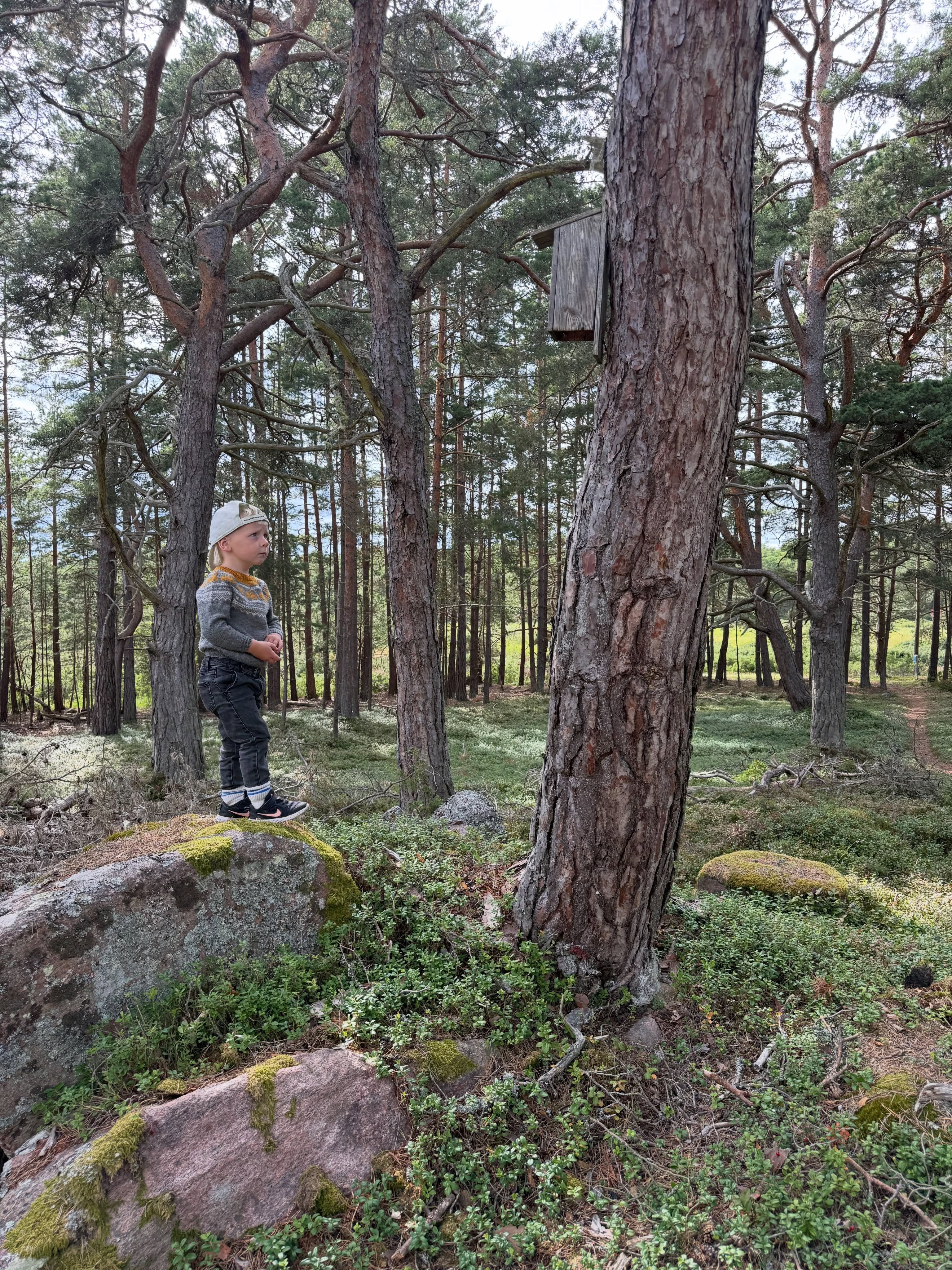 Halva familjen är i Norrland på ett bröllop och den andra jobbar på med unika turistupplevelser. Både helt otroligt underbart att få guida en grupp människor från Tyskland och Ukraina med sin son på ryggen och samtidigt lite krävande. Fördelen är att både min son och turisterna behövde mat och fika ungefär lika ofta som Hs interna fikaklocka slår till och han springer runt och ropar att han är ”fikig”. 

Vilken dag och vilket landskap, fantastiskt att få jobba med detta! 
/A
